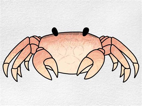 Crab drawing - Draw the claw of the crab. Add a raised claw on the left side. Sketch out the second claw. Now draw his claw on the right side, bent at the elbow and down. Depict the details of the costume of Mr. Krabs. Add a pointed collar and a curved line at the waist of the crab. Draw the belt for the trousers.